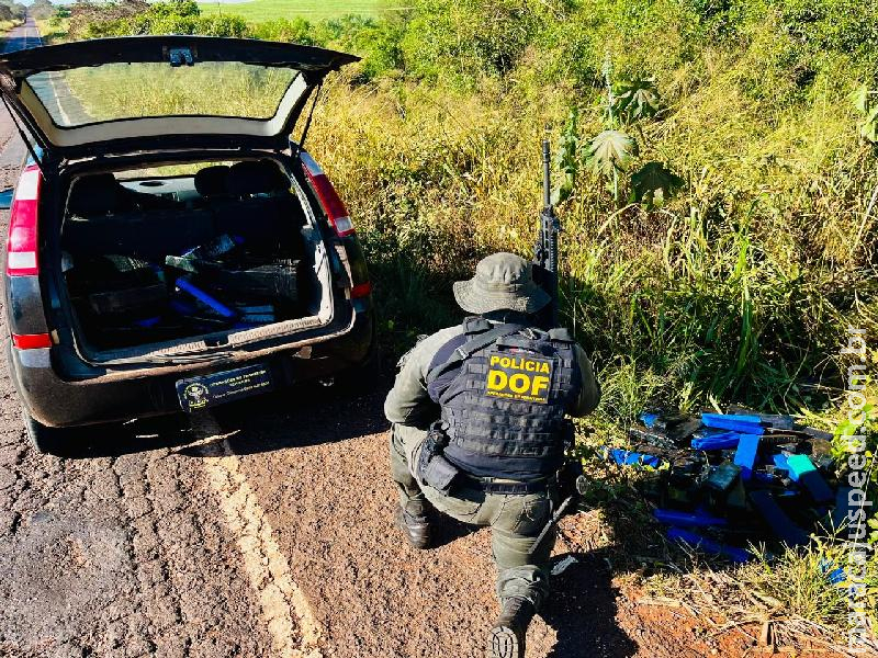 DOF apreende mais de 200 quilos de droga em meio a mata em Ivinhema DOF apreende mais de 200 quilos de droga em meio a mata em Ivinhema