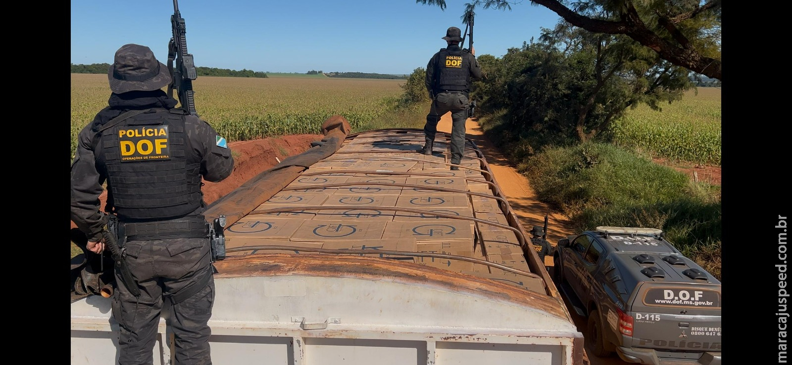 DOF apreende mais de 42 mil pacotes de cigarros contrabandeados em carreta DOF apreende mais de 42 mil pacotes de cigarros contrabandeados em carreta