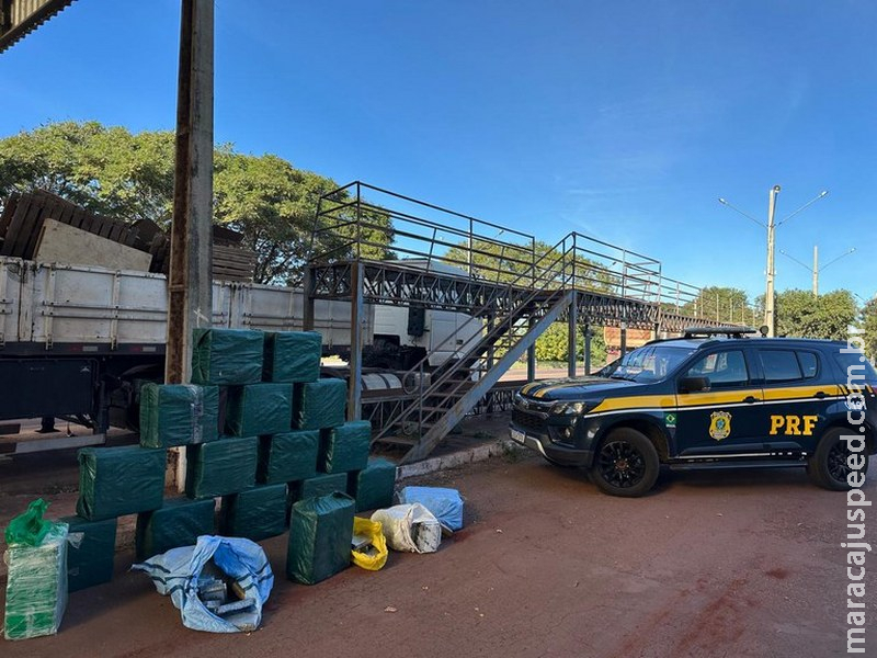 Em Miranda (MS), PRF realiza a maior apreensão de cocaína do ano Em Miranda (MS), PRF realiza a maior apreensão de cocaína do ano