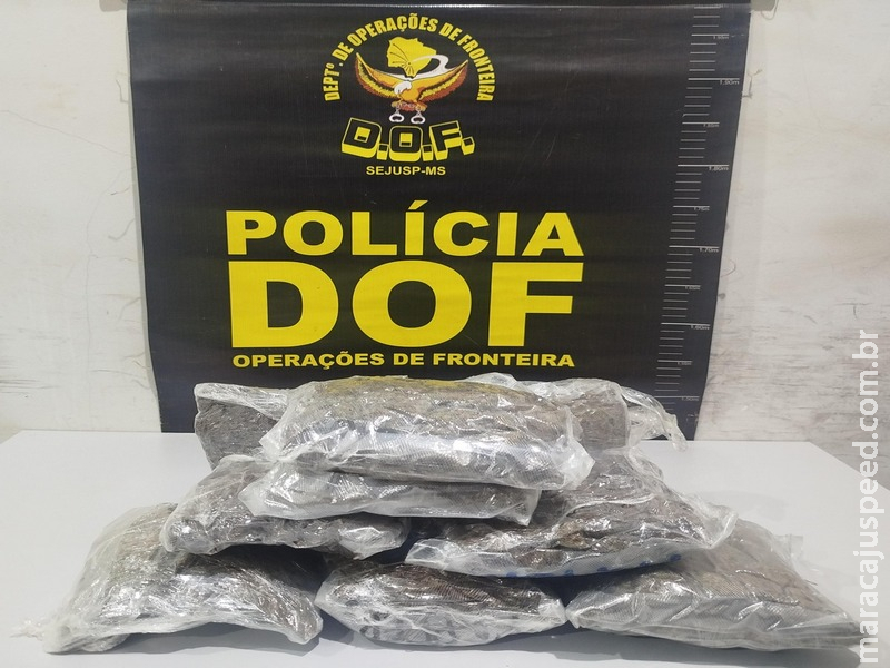 Maracaju: Passageira de aplicativo é presa pelo DOF com 2 kg de Skunk preso ao corpo Maracaju: Passageira de aplicativo é presa pelo DOF com 2 kg de Skunk preso ao corpo
