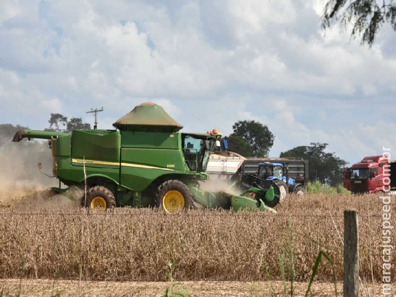 Mato Grosso do Sul registra a 2ª maior safra de soja da história Mato Grosso do Sul registra a 2ª maior safra de soja da história