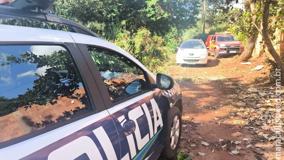 Polícia apura denúncia de corpo enterrado em mata no Parque dos Laranjais (vídeo) Polícia apura denúncia de corpo enterrado em mata no Parque dos Laranjais (vídeo)
