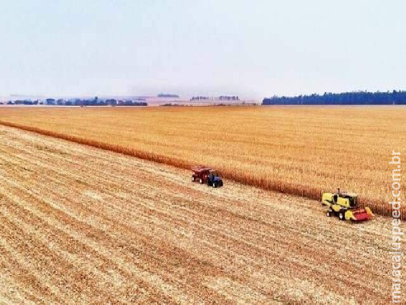 Produtor rural é a profissão que mais ganha em MS Produtor rural é a profissão que mais ganha em MS