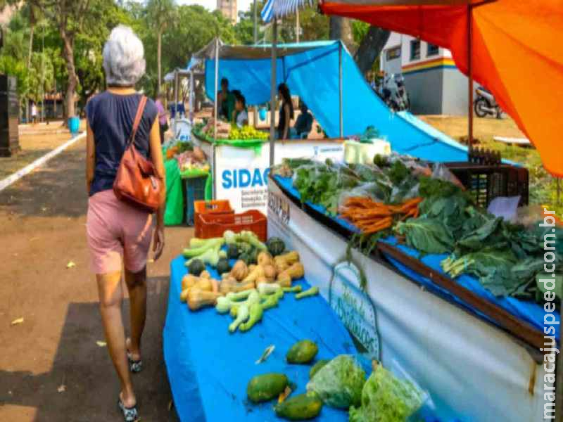 Ação em parques troca recicláveis por hortaliças frescas; confira Ação em parques troca recicláveis por hortaliças frescas; confira