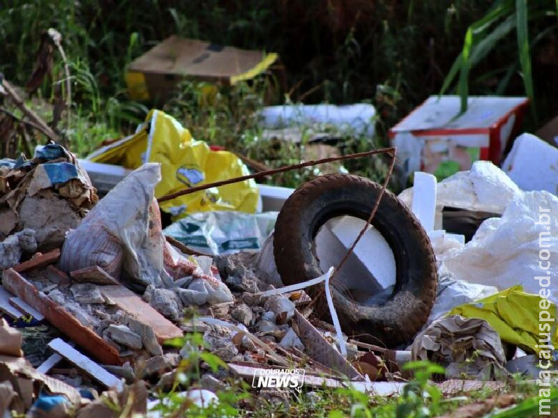 Chikungunya faz mais uma vítima e MS contabiliza sete mortes pela doença Chikungunya faz mais uma vítima e MS contabiliza sete mortes pela doença