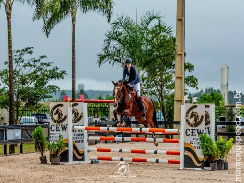 De Campo Grande, atleta conquista o 2º lugar em Campeonato Estadual de Hipismo De Campo Grande, atleta conquista o 2º lugar em Campeonato Estadual de Hipismo