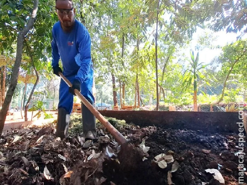 Dia do Meio Ambiente: De volta ao ciclo, borra de café dá vida ao verde da ALEMS Dia do Meio Ambiente: De volta ao ciclo, borra de café dá vida ao verde da ALEMS