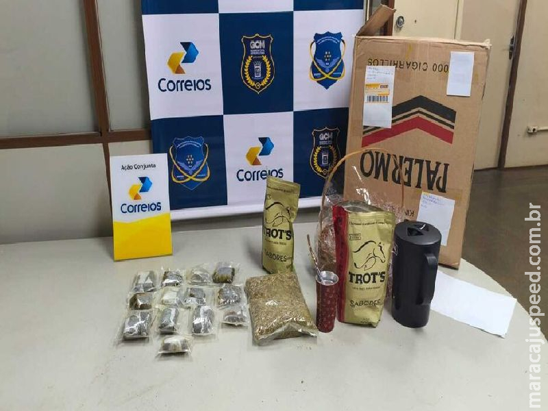 Erva da boa? Traficantes tentam despachar maconha como se fosse tereré em MS Erva da boa? Traficantes tentam despachar maconha como se fosse tereré em MS