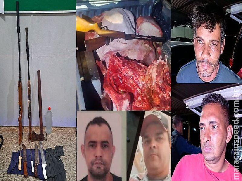 Furto de gado termina em confronto, dois morrem e dois são presos em Três Lagoas Furto de gado termina em confronto, dois morrem e dois são presos em Três Lagoas