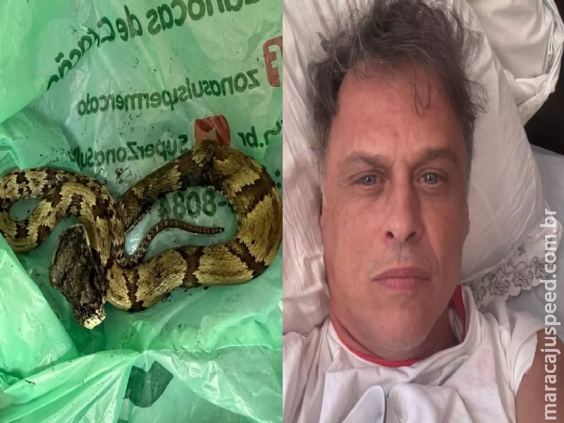 Jararaca ataca Guilherme Fontes, o Alexandre de A Viagem, e ator é levado para hospital Jararaca ataca Guilherme Fontes, o Alexandre de A Viagem, e ator é levado para hospital