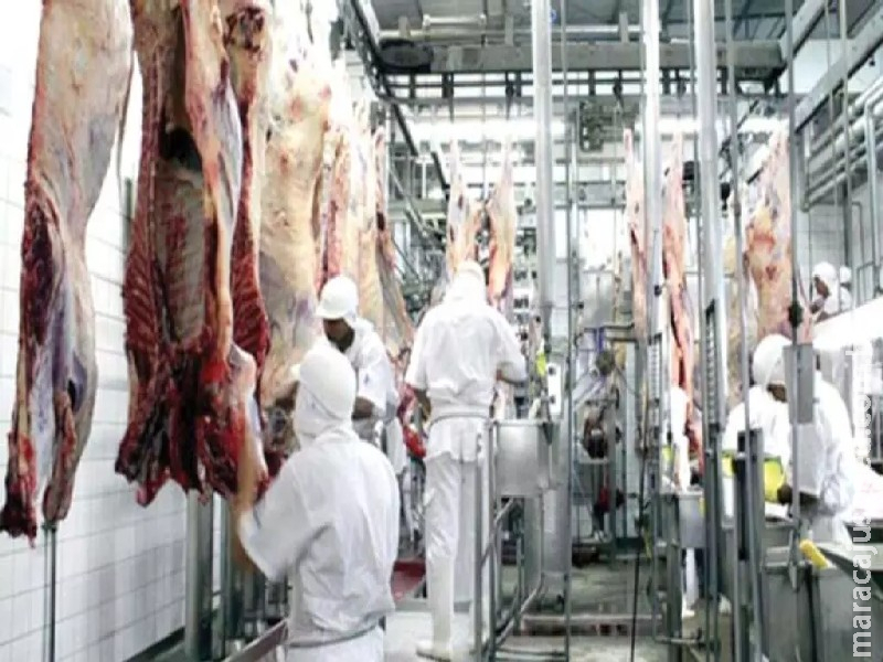 Após MS suspender exportação de carne para os EUA, sindicato fala em normalização do mercado em poucos dias Após MS suspender exportação de carne para os EUA, sindicato fala em normalização do mercado em poucos dias