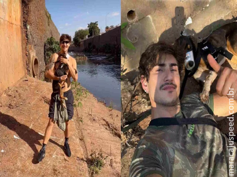 Após tentativas frustradas, influencer resgata cãozinho em córrego de Campo Grande