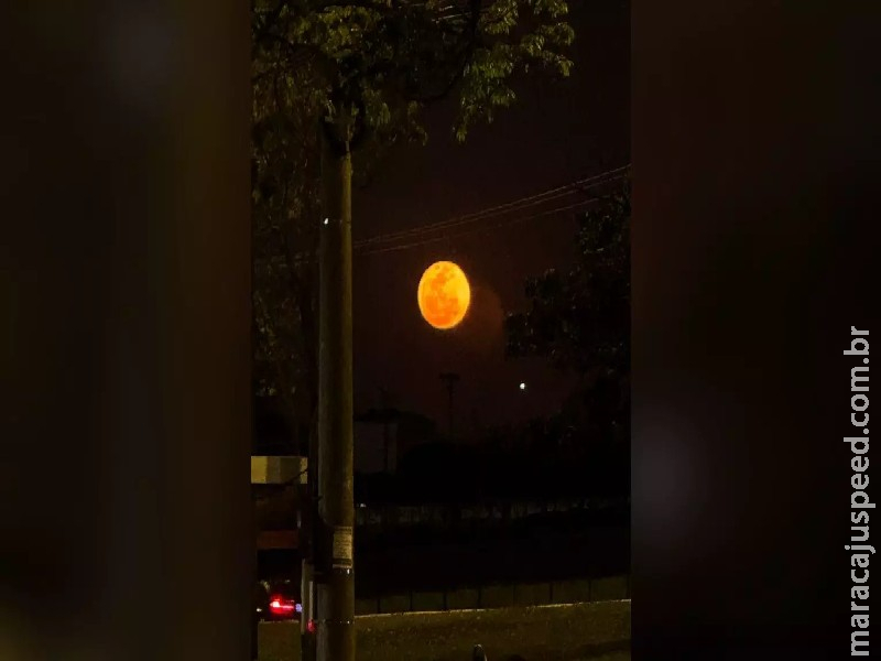 Calendário de fenômenos astronômicos de julho prevê Superlua, afélio e chuva de meteoros