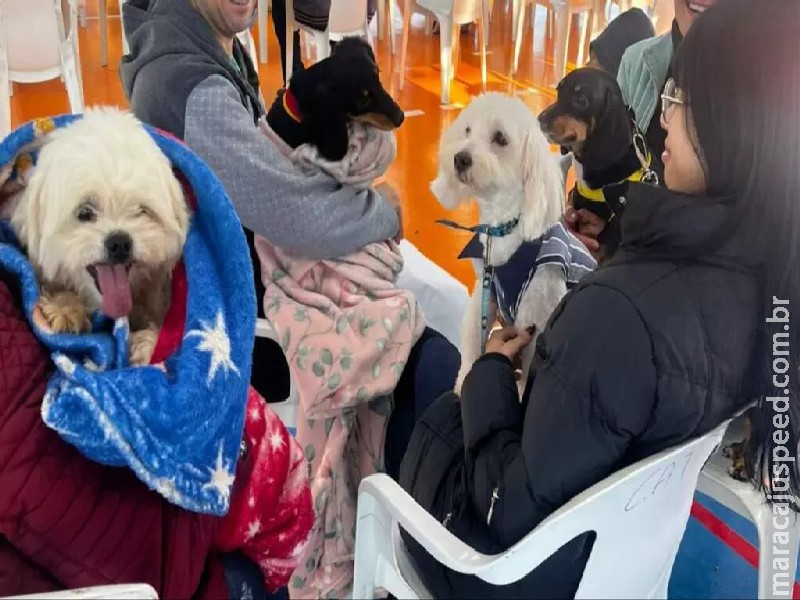 Caravana de Castração atendeu mais de mil animais no interior de MS