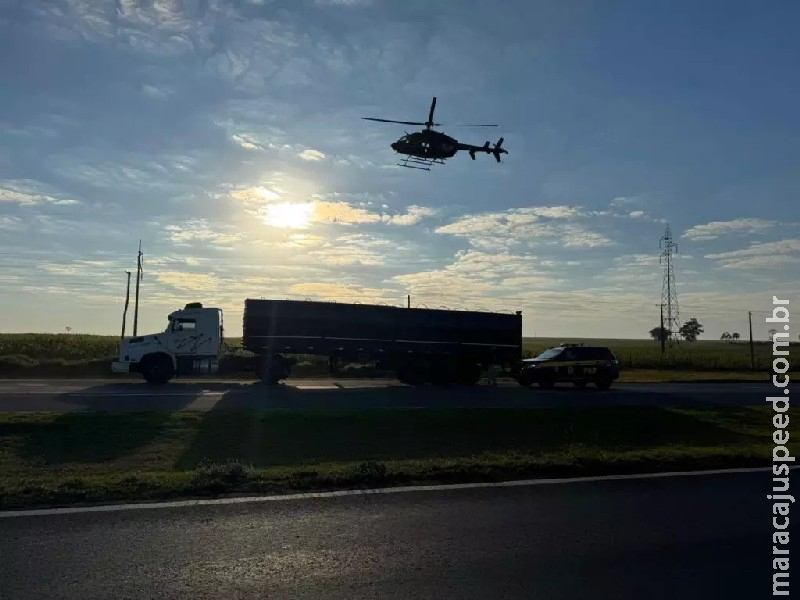 Carreta com mais de 2 toneladas de supermaconha é interceptada pela PRF na MS-156 Carreta com mais de 2 toneladas de supermaconha é interceptada pela PRF na MS-156