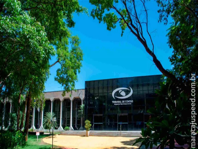 Chá da tarde: TCE-MS lança licitação que prevê gastar R$ 42 mil com sachês da bebida Chá da tarde: TCE-MS lança licitação que prevê gastar R$ 42 mil com sachês da bebida