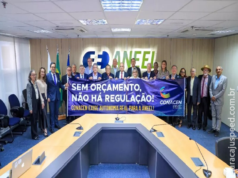 Conselho de consumidores de energia denuncia cortes na Aneel e teme desequilíbrio no setor Conselho de consumidores de energia denuncia cortes na Aneel e teme desequilíbrio no setor