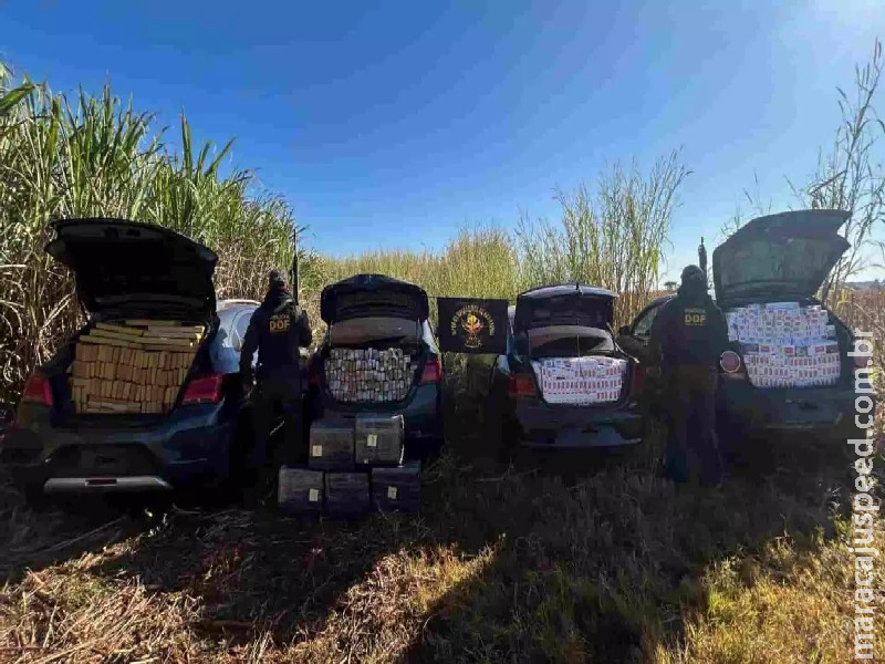DOF apreende comboio de carros carregados com 2,6 toneladas de maconha e cigarros contrabandeados DOF apreende comboio de carros carregados com 2,6 toneladas de maconha e cigarros contrabandeados