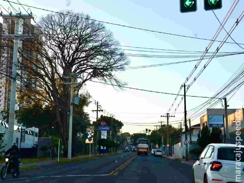 ‘Efeito cebola’: frio permanece pelas manhãs e MS enfrenta quinzena sem chuvas ‘Efeito cebola’: frio permanece pelas manhãs e MS enfrenta quinzena sem chuvas