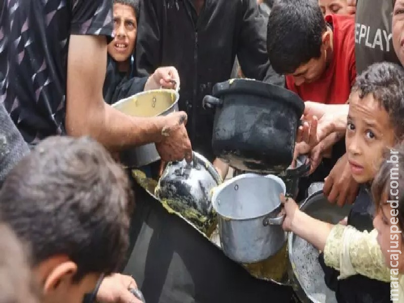 Faixa de Gaza vive ‘fome generalizada’, com mortes iminentes, alertam especialistas Faixa de Gaza vive ‘fome generalizada’, com mortes iminentes, alertam especialistas