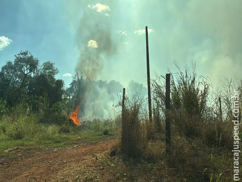 Fogo em vegetação se espalha e se aproxima de casas em Campo Grande Fogo em vegetação se espalha e se aproxima de casas em Campo Grande