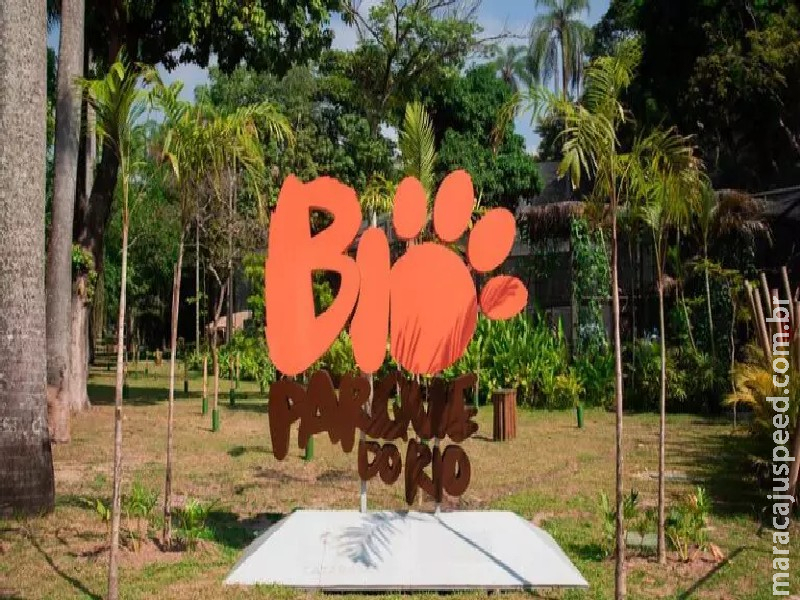 Mapa confirma gripe aviária em aves mortas no Bioparque do Rio Mapa confirma gripe aviária em aves mortas no Bioparque do Rio