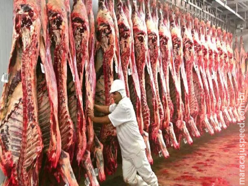 MS pode perder R$ 1,3 bilhão por ano se parar de exportar carne aos EUA após tarifaço de Trump MS pode perder R$ 1,3 bilhão por ano se parar de exportar carne aos EUA após tarifaço de Trump