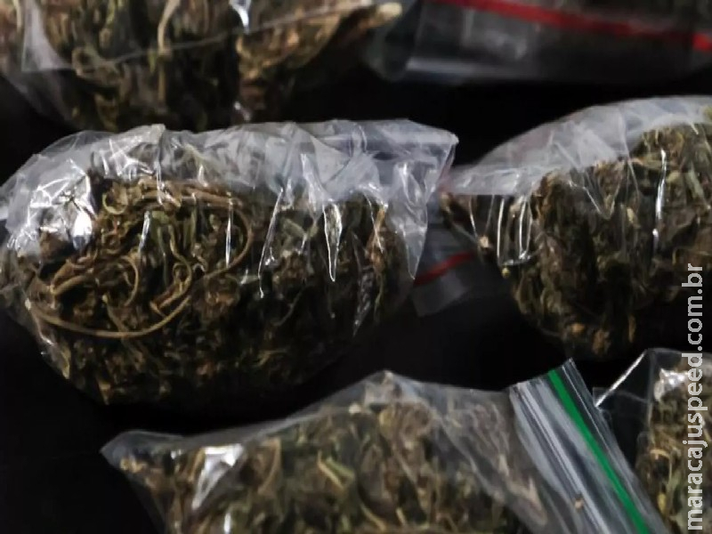 Mutirão do CNJ analisará prisões por porte de maconha para uso pessoal