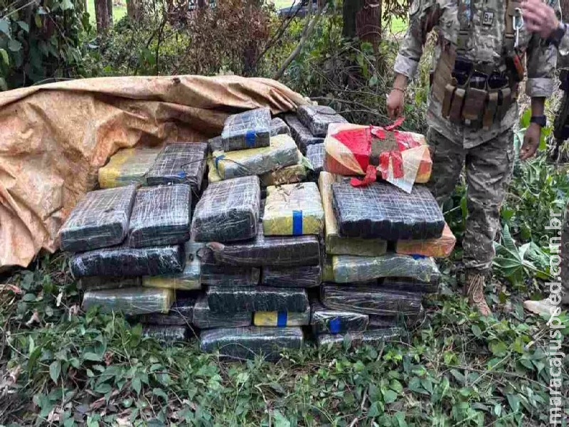 Operação no Paraguai apreende mais de 800 quilos de maconha que seriam entregues no Brasil Operação no Paraguai apreende mais de 800 quilos de maconha que seriam entregues no Brasil