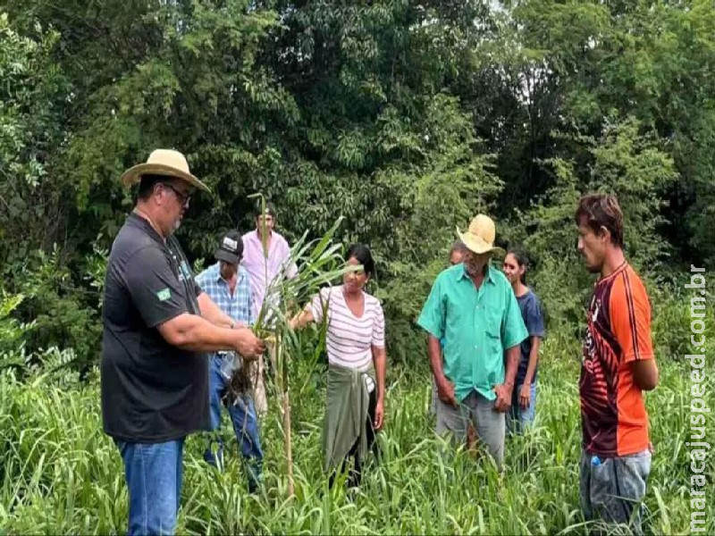 Pequenos produtores traçam estratégias para minimizar impacto das mudanças climáticas no Pantanal de MS