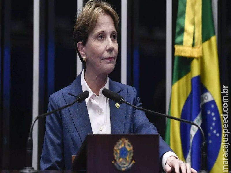 Tereza Cristina diz que Brasil demora em negociar com os EUA e cita seção 301