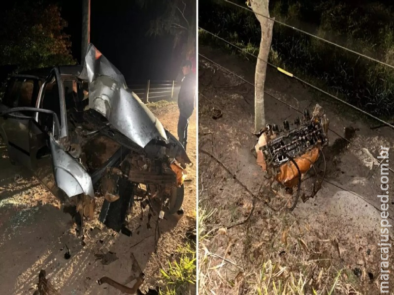 Trânsito Crianças mortas em acidente após carro bater em eucalipto em MS tinham 2 e 5 anos anos as Trânsito Crianças mortas em acidente após carro bater em eucalipto em MS tinham 2 e 5 anos anos as