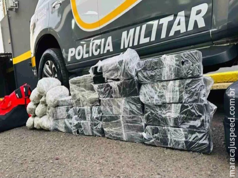Adolescente de MS é apreendido levando maconha e skunk para SP