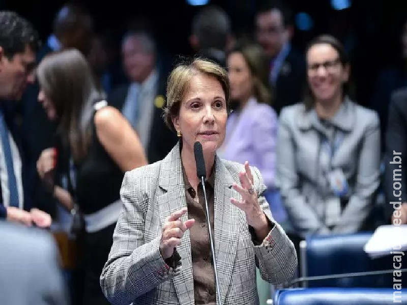 ‘Anunciado tardiamente’, avalia Tereza Cristina sobre crédito de Lula contra ‘tarifaço’