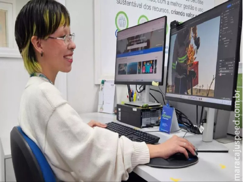 Bracell e MS Florestal prorrogam inscrições para o programa de estágio