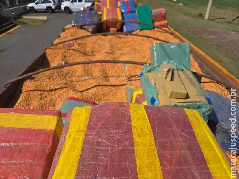 Carga milionária de maconha é apreendida pelo DOF durante fiscalização na MS-356 Carga milionária de maconha é apreendida pelo DOF durante fiscalização na MS-356