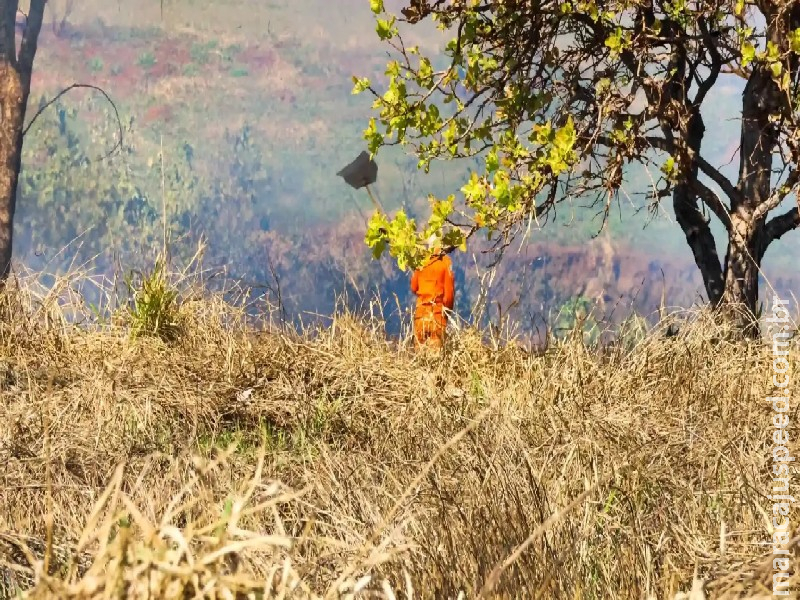 Com abafadores e sopradores, Bombeiros controlam incêndio que consumiu 6 hectares de mata