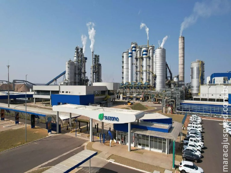 Empresa de celulose tem 6 processos seletivos abertos em 3 cidades de MS Empresa de celulose tem 6 processos seletivos abertos em 3 cidades de MS