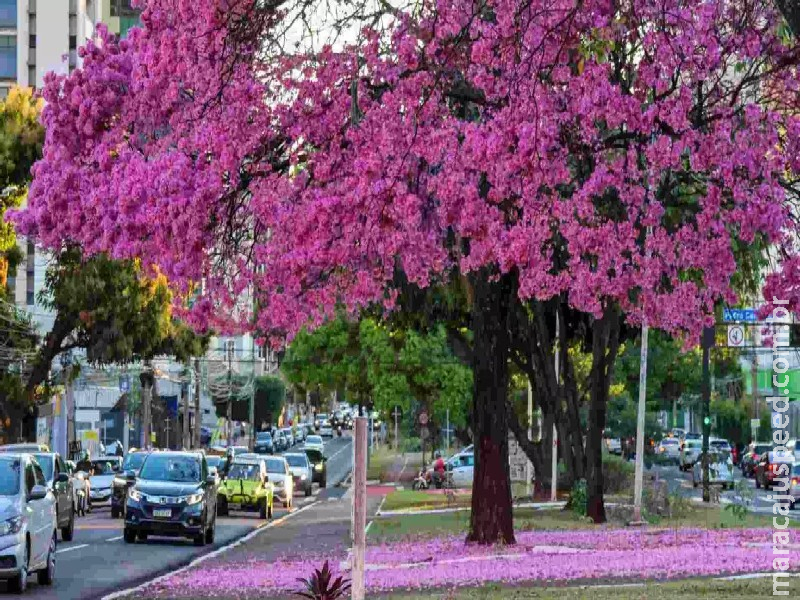 ‘Feriadou’: confira o que abre o que fecha no aniversário de Campo Grande