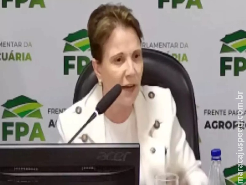 FPA orientará posição favorável ao projeto que amplia isenção do IR, diz Tereza Cristina FPA orientará posição favorável ao projeto que amplia isenção do IR, diz Tereza Cristina