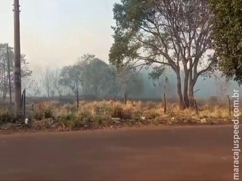 Fumaça de terreno em chamas prejudica moradores no Pioneiros e Universitário Fumaça de terreno em chamas prejudica moradores no Pioneiros e Universitário