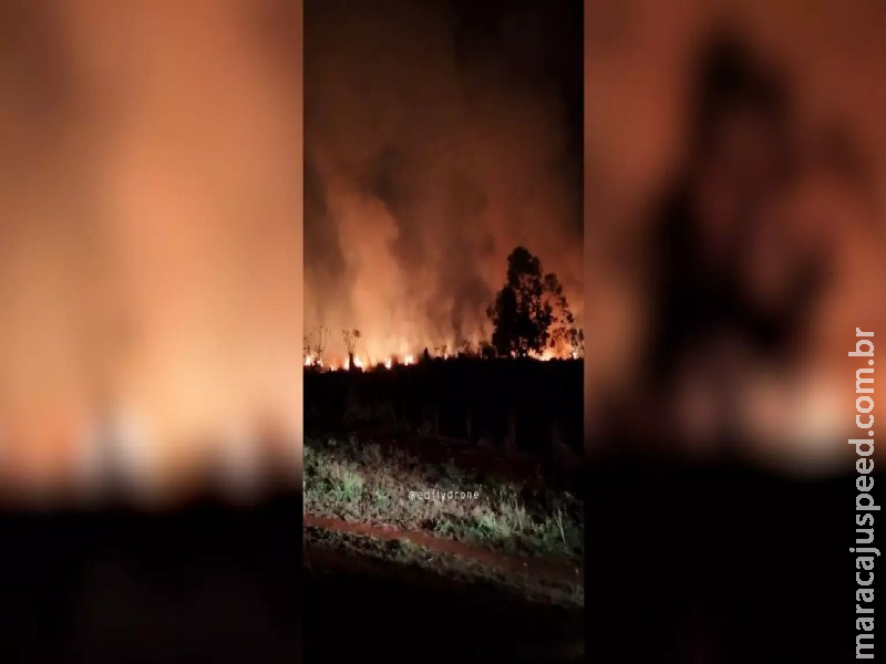 Incêndio às margens da BR-163 mobiliza Bombeiros em Rio Brilhante Incêndio às margens da BR-163 mobiliza Bombeiros em Rio Brilhante