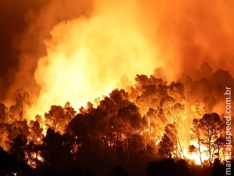 Incêndio florestal da França já queimou uma área maior que a cidade de Paris