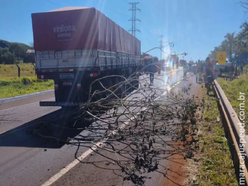 Indígenas cobram mais segurança em rodovia, após atropelamento de ciclista