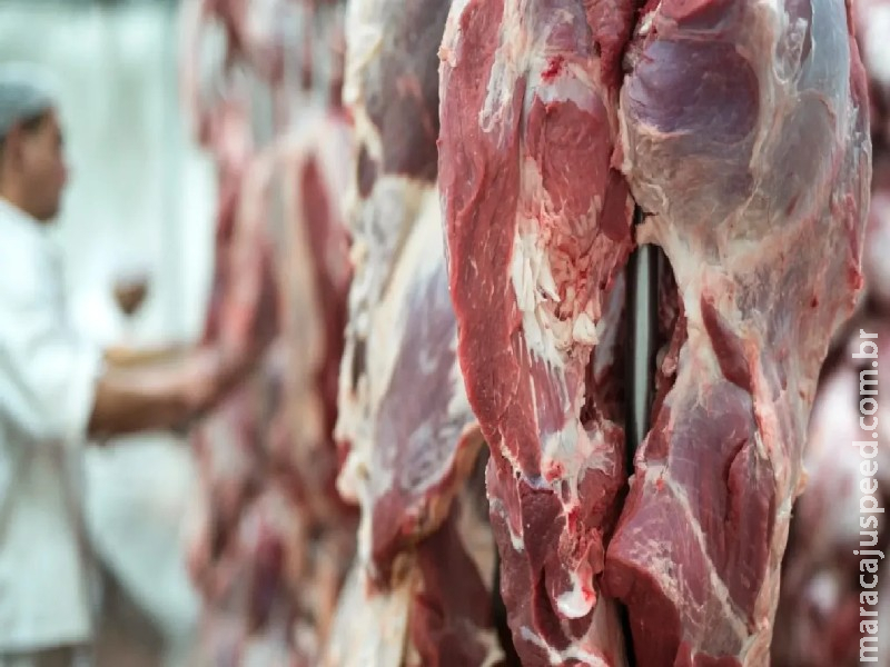Início do tarifaço impacta carne, mas ‘livra’ outros dois principais produtos de MS Início do tarifaço impacta carne, mas ‘livra’ outros dois principais produtos de MS