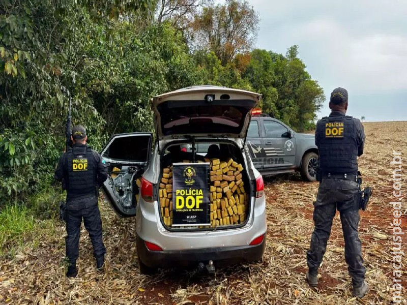 Jovem é preso transportando mais de 800 quilos de maconha em Ponta Porã Jovem é preso transportando mais de 800 quilos de maconha em Ponta Porã