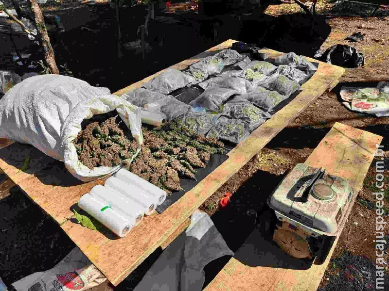 Laboratório com maconha pronta para ser entregue ao Brasil é desmantelado no Paraguai