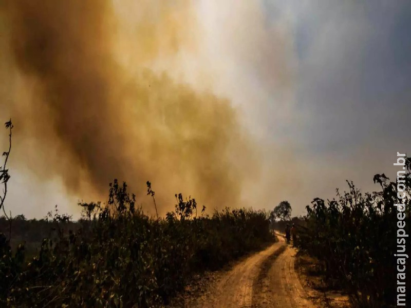 Monitoramento indica queda de 98,1% de área queimada no Pantanal em 2025 Monitoramento indica queda de 98,1% de área queimada no Pantanal em 2025