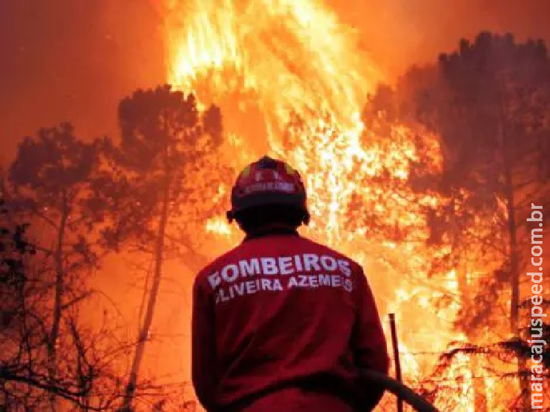 Portugal: quarto bombeiro morre vítima de incêndios florestais Portugal: quarto bombeiro morre vítima de incêndios florestais