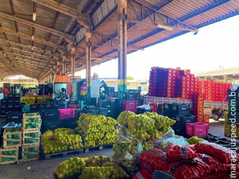 Produção cresce 18,78% e movimenta 16,9 mil toneladas de hortifrutigranjeiros na Ceasa/MS Produção cresce 18,78% e movimenta 16,9 mil toneladas de hortifrutigranjeiros na Ceasa/MS